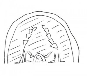 Insecten zien licht aan het einde van de tunnel